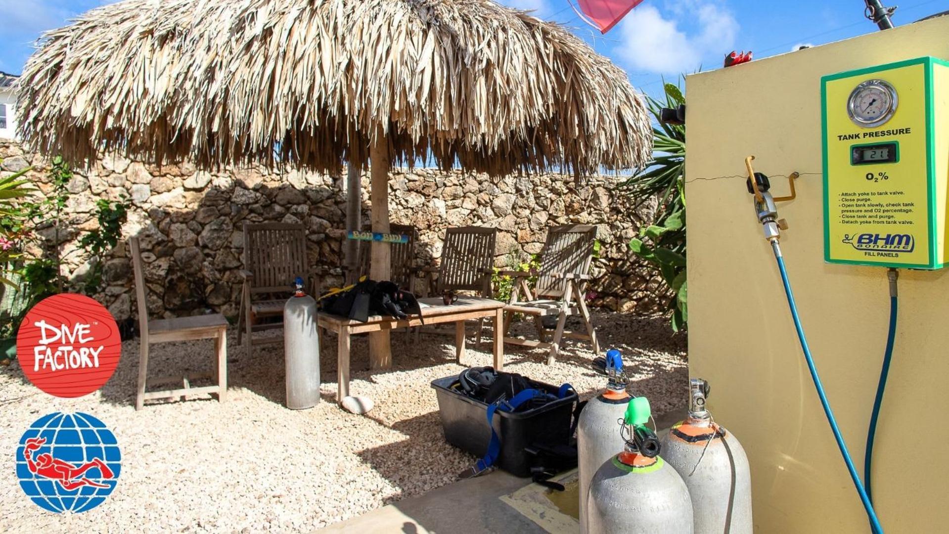Trupial D3 Relax & Dive Resort Bonaire Village Playa Eksteriør billede